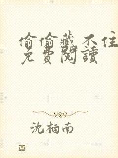 偷偷藏不住小说免费阅读