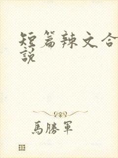 短篇辣文合集小说