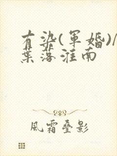 有染(军婚)/叶落淮南