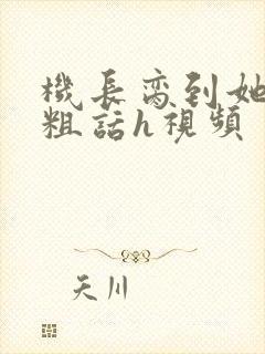 机长脔到她哭h粗话h视频