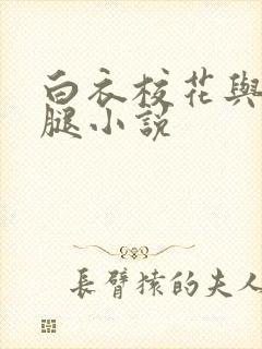 白衣校花与大长腿小说