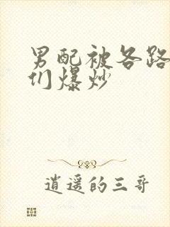 男配被各路大佬们爆炒