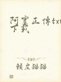 阿宾正传txt下载
