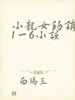 小龙女的销魂夜1一6小说