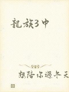龙族3中