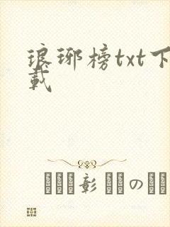 琅琊榜txt下载
