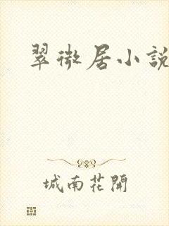 翠微居小说