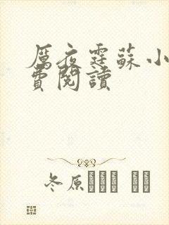 厉夜霆苏小汐免费阅读