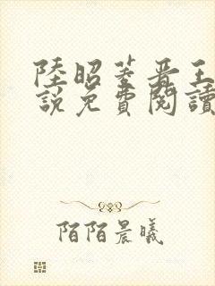 陆昭菱晋王的小说免费阅读