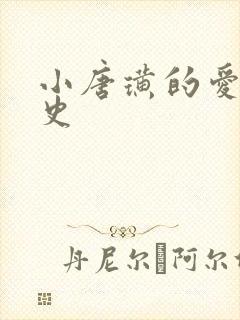 小唐璜的爱情历史