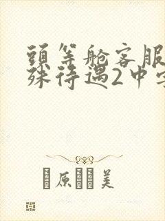 头等舱客服的特殊待遇2中字