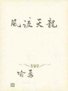风流天龙