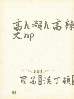 高h超h高辣h文np