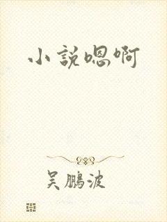 小说嗯啊