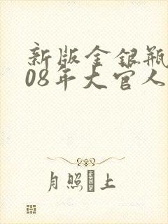 新版金银瓶2008年大官人