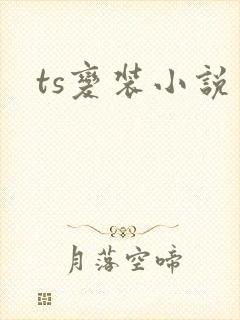 ts变装小说