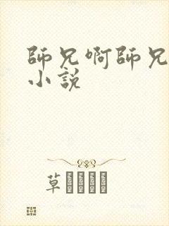 师兄啊师兄原著小说