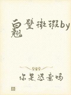 白璧微瑕by连翘