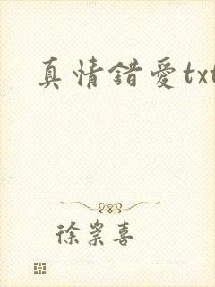 真情错爱txt