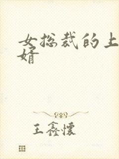 女总裁的上门女婿