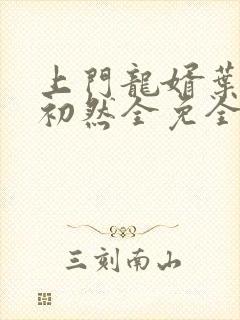 上门龙婿叶辰萧初然全免全集