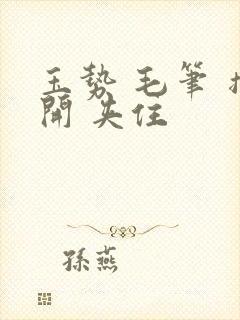 玉势 毛笔 撑开 夹住