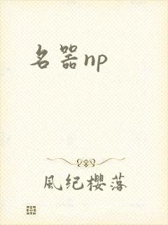 名器np