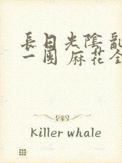 长日光阴 乱作一团 麻花全文无删减