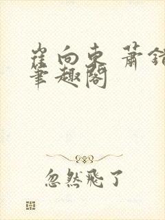 崔向东 萧错 笔趣阁