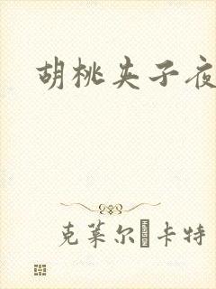 胡桃夹子夜未眠