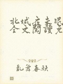 北城夜未眠小说全文阅读免费