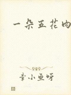 一朵五花肉