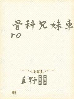 骨科兄妹车多pro