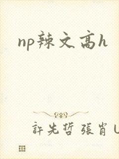 np辣文高h