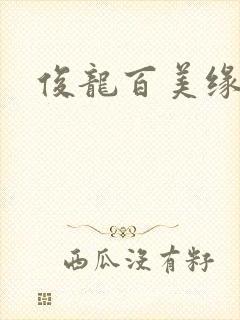 俊龙百美缘小说
