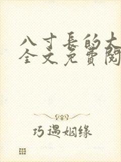 八寸长的大宝贝全文免费阅读