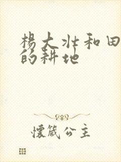 杨大壮和田桂花的耕地