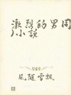 激烈的男同(h)小说