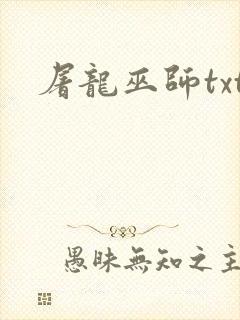 屠龙巫师txt