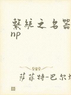 系统之名器攻略np