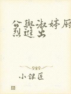 公与淑婷厨房猛烈进出