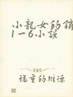 小龙女的销魂夜1一6小说