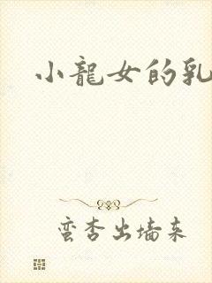 小龙女的乳头
