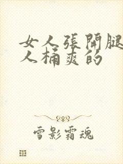 女人张开腿让男人桶爽的