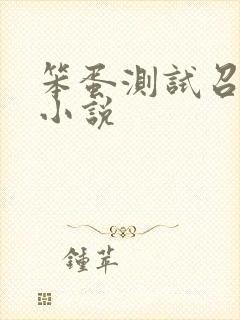 笨蛋测试召唤兽小说
