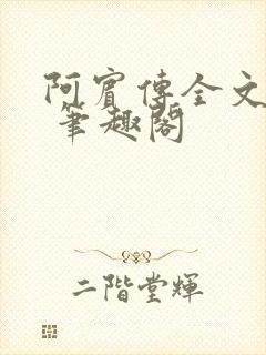 阿宾传全文阅读 笔趣阁