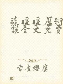 苏暖暖厉衍琛小说全文免费阅读