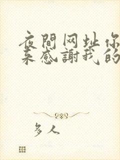 夜间网址你会回来感谢我的