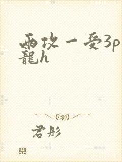 两攻一受3p双龙h