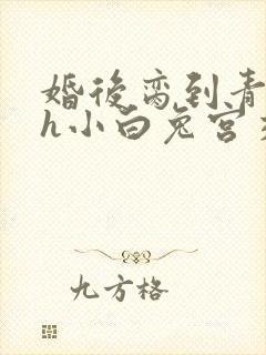 婚后脔到青梅哭h小白兔宫交h